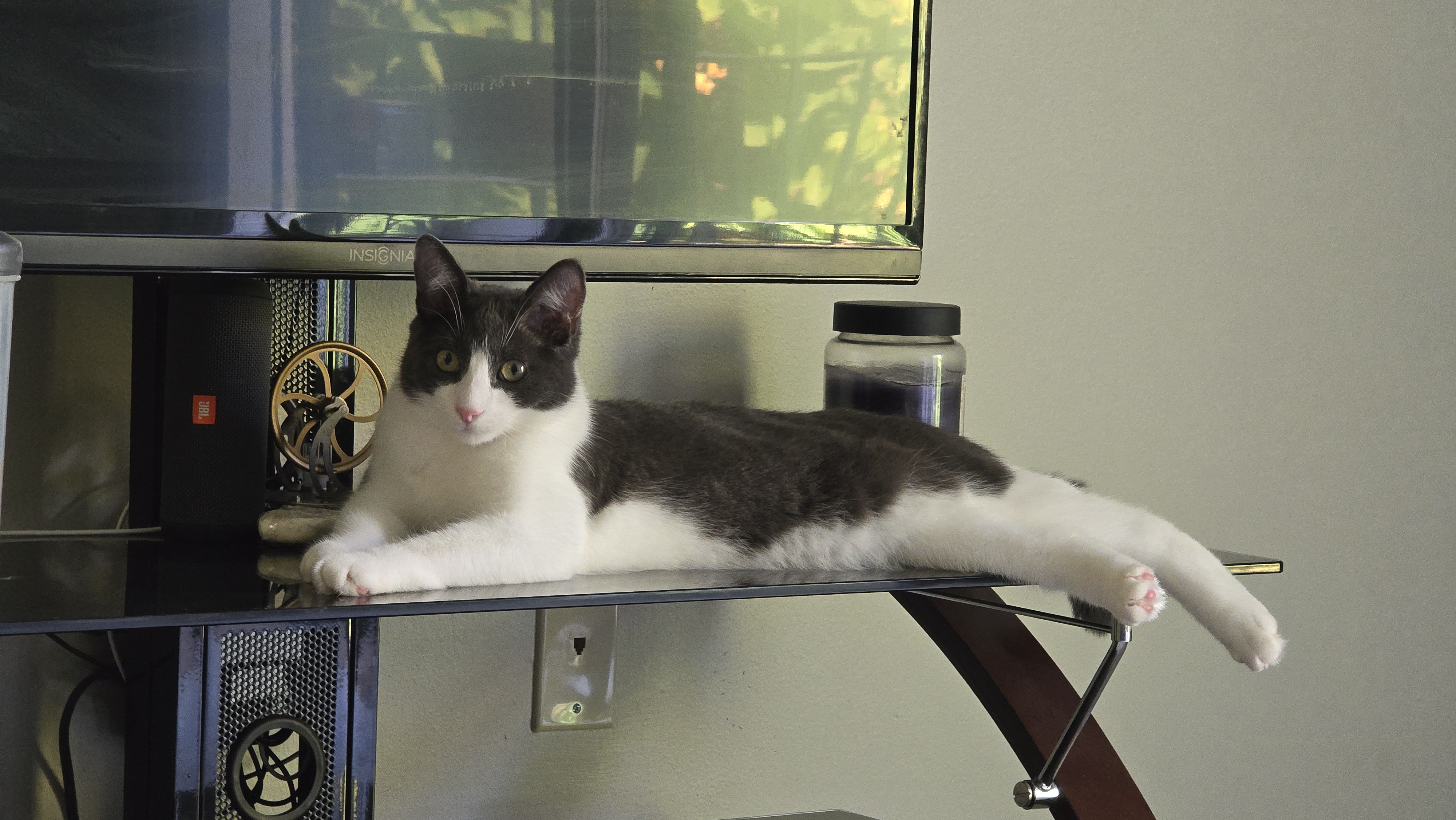 Grey and white cat stretched out on a TV stand